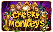 BG Cheeky Monkeys