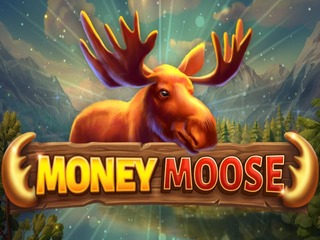 BG Money Moose