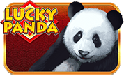 Lucky Panda H5